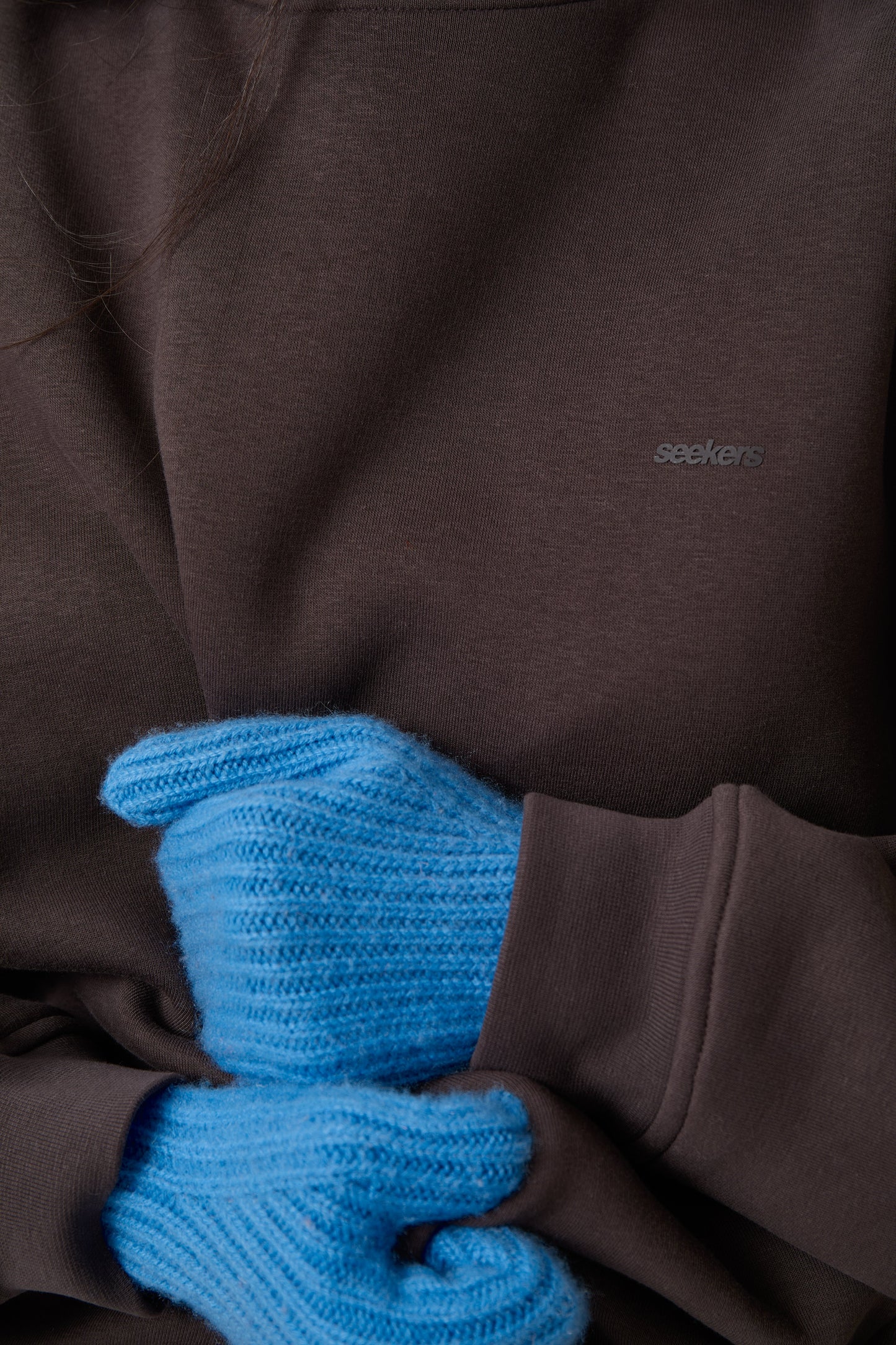 Seekers Classic Sweatshirt in Brown