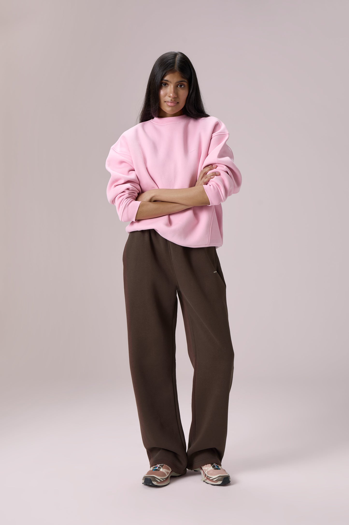 Seekers Classic Sweatshirt in Pink Wafer