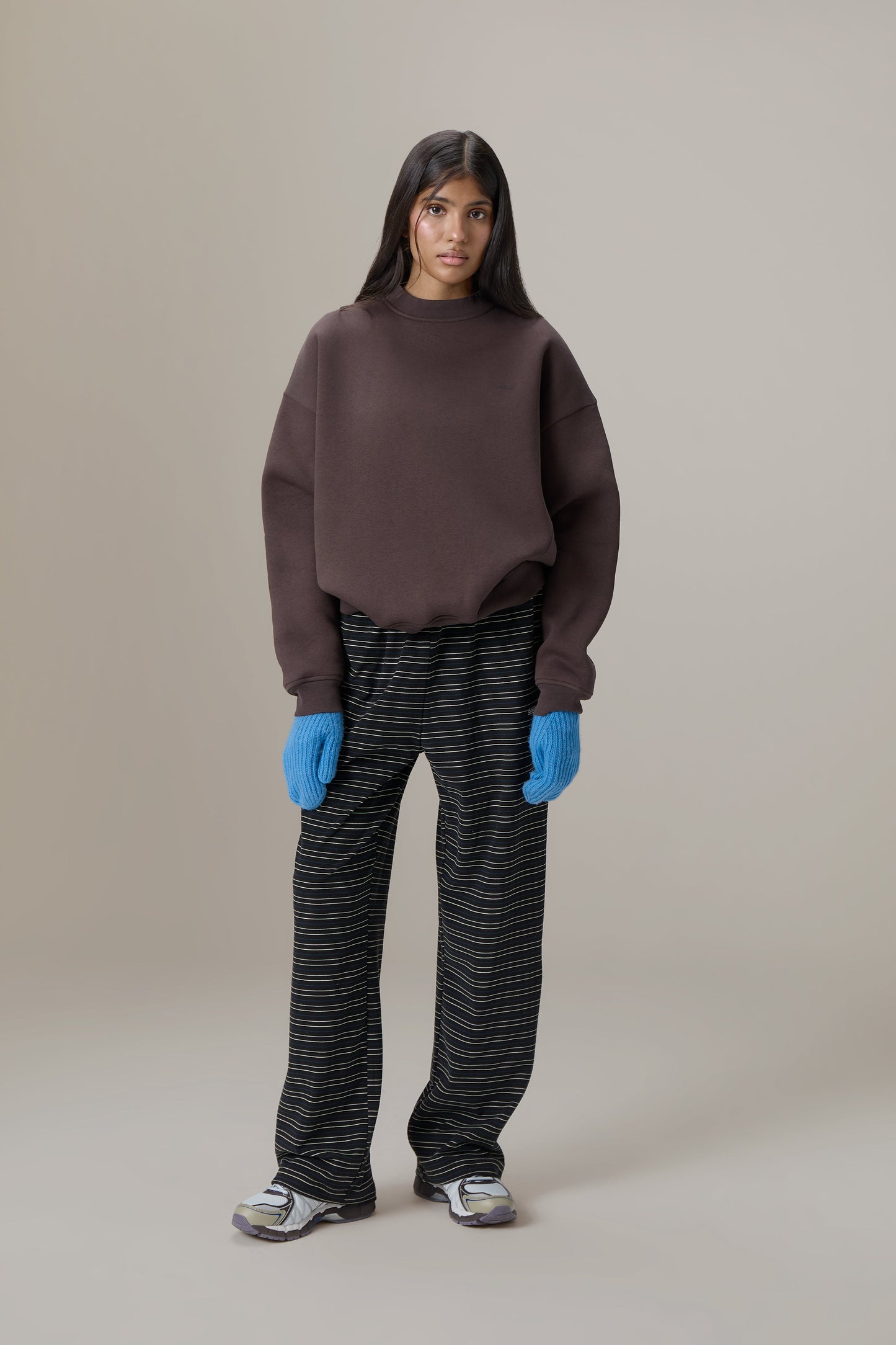 Seekers Classic Sweatshirt in Brown